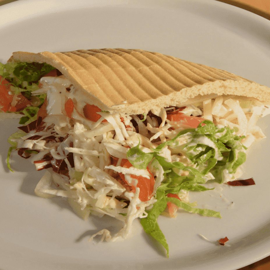 paninoVegi.png